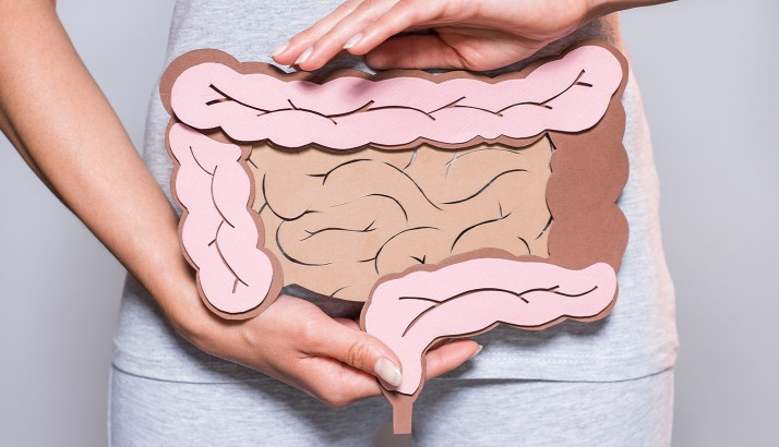 How to build good gut bacteria? | Nutriplus GutHealth